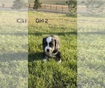 Small #4 Breeder Profile image