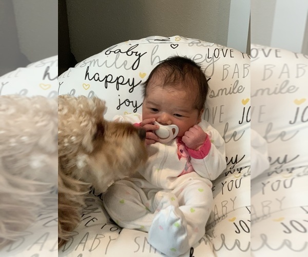 Medium Photo #1  Breeder Profile in CUMBERLAND, OH, USA