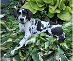 Small Photo #3  Breeder Profile in BANGOR, WI, USA