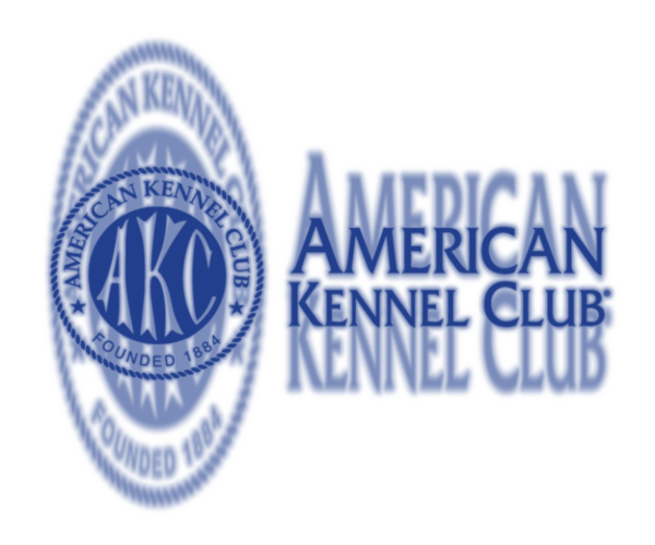 Medium Photo #5  Breeder Profile in BROWNS VALLEY, CA, USA