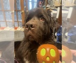 Small #7 Breeder Profile image