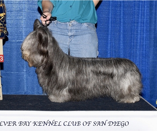 Medium Photo #2  Breeder Profile in LAKESIDE, CA, USA