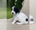 Small #6 Breeder Profile image