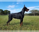 Small #20 Breeder Profile image