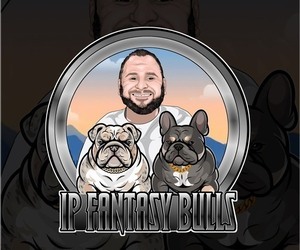 French Bulldog Dog Breeder near LEHIGH ACRES, FL, USA