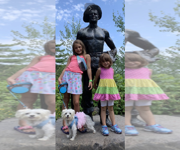 Medium Photo #26  Breeder Profile in FARMINGTON, MN, USA