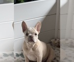 Small #3 Breeder Profile image
