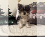 Small #5 Breeder Profile image