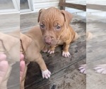 Small #2 Breeder Profile image