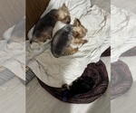 Small #3 Breeder Profile image