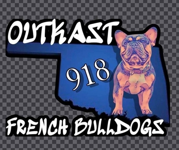 Medium Photo #1  Breeder Profile in NOWATA, OK, USA