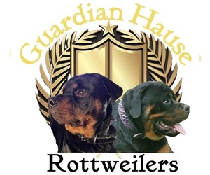 Rottweiler Dog Breeder near GREEN SPRINGS, OH, USA