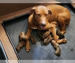 Small #2 Breeder Profile image