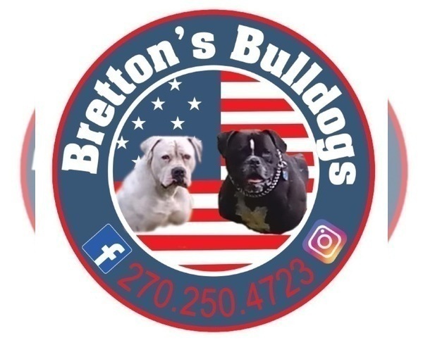 Medium Photo #9  Breeder Profile in COLUMBIA, KY, USA