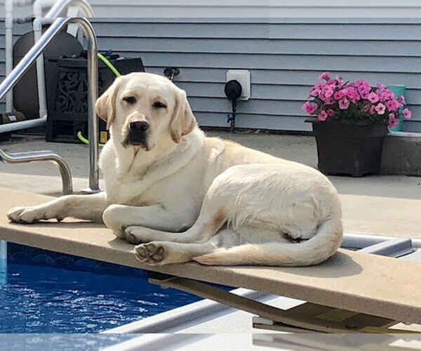 Medium Photo #3  Breeder Profile in FAIRFIELD, VT, USA