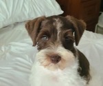 Small #4 Breeder Profile image