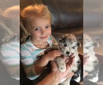 Small #18 Breeder Profile image