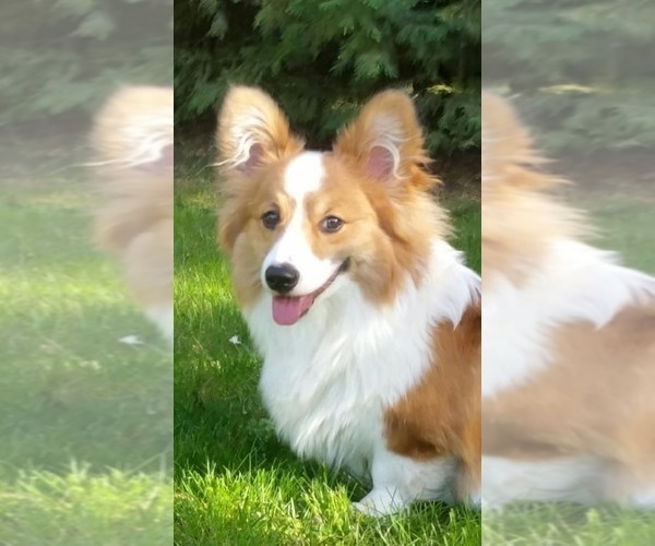 Medium Photo #8  Breeder Profile in CRESTVIEW, FL, USA
