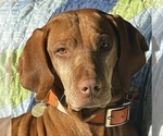 Small #9 Breeder Profile image