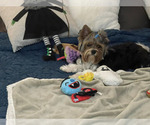 Small #24 Breeder Profile image