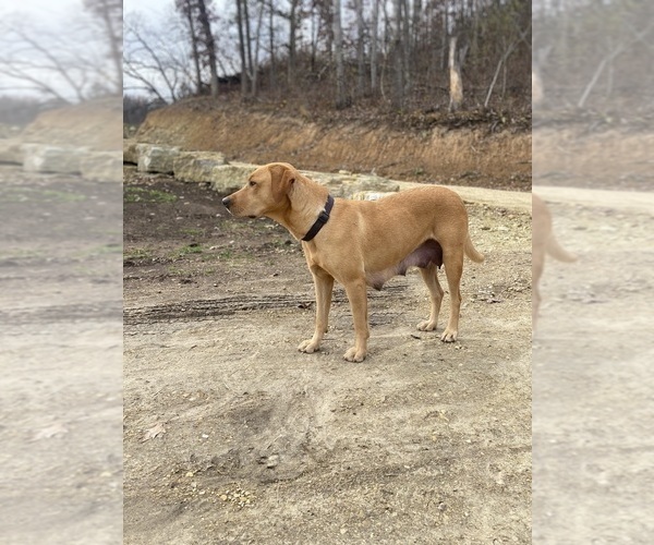 Medium Photo #2  Breeder Profile in COON VALLEY, WI, USA