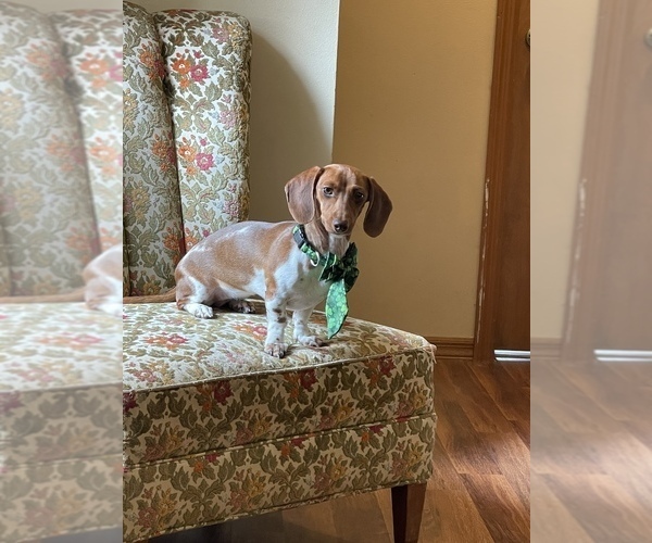 Medium Photo #9  Breeder Profile in MELROSE, FL, USA