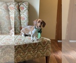 Small #8 Breeder Profile image