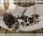 Small #18 Breeder Profile image