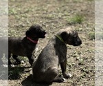 Small #19 Breeder Profile image
