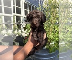 Small #3 Breeder Profile image