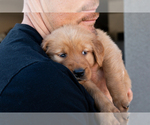 Small #26 Breeder Profile image
