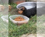Small #49 Breeder Profile image
