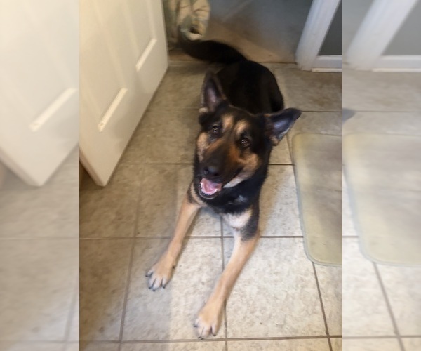 Medium Photo #2  Breeder Profile in SEAGROVE, NC, USA