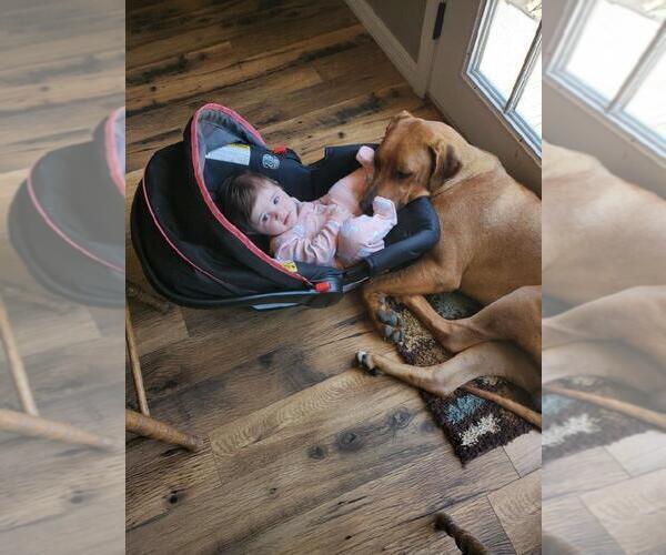 Medium Photo #1  Breeder Profile in CHOUDRANT, LA, USA