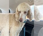 Small #1 Breeder Profile image
