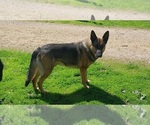 Small #7 Breeder Profile image