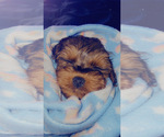 Small #4 Breeder Profile image