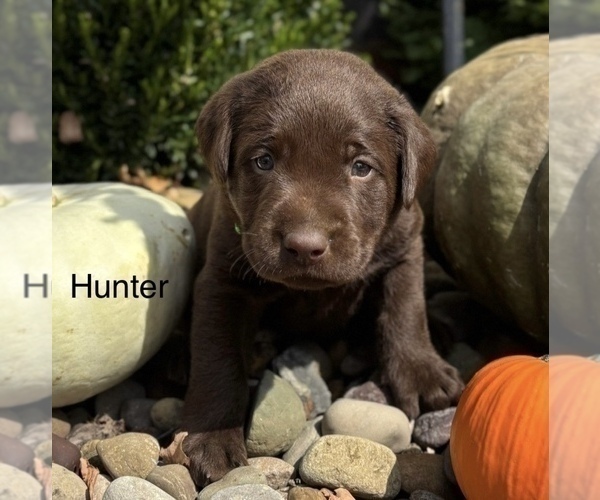 Medium Photo #6  Breeder Profile in FREDERICKSBG, OH, USA