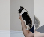 Small #4 Breeder Profile image