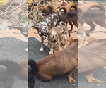 Small #2 Breeder Profile image