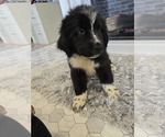 Small #25 Breeder Profile image