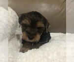 Small #11 Breeder Profile image