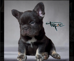 Small #4 Breeder Profile image