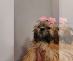 Small #11 Breeder Profile image