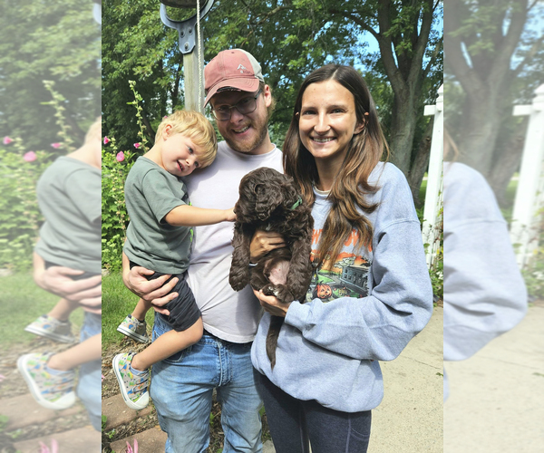 Medium Photo #9  Breeder Profile in JEDDO, MI, USA