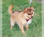 Small #3 Breeder Profile image