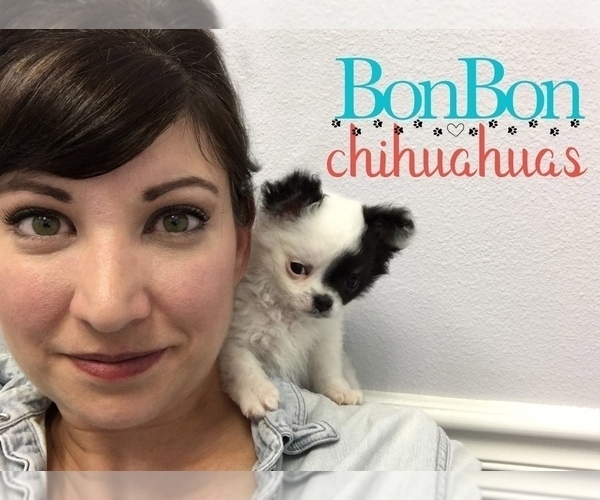 Medium Photo #1  Breeder Profile in ALTA LOMA, TX, USA