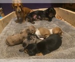 Small #8 Breeder Profile image