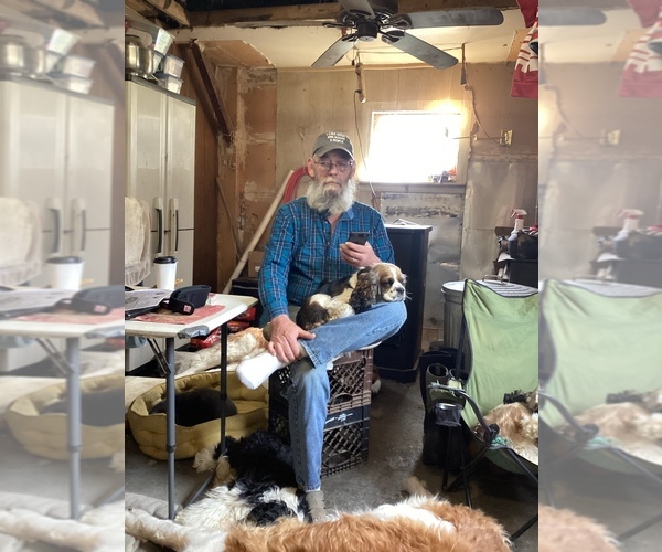 Medium Photo #1  Breeder Profile in HOMER, NY, USA