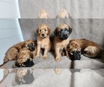 Small #5 Breeder Profile image